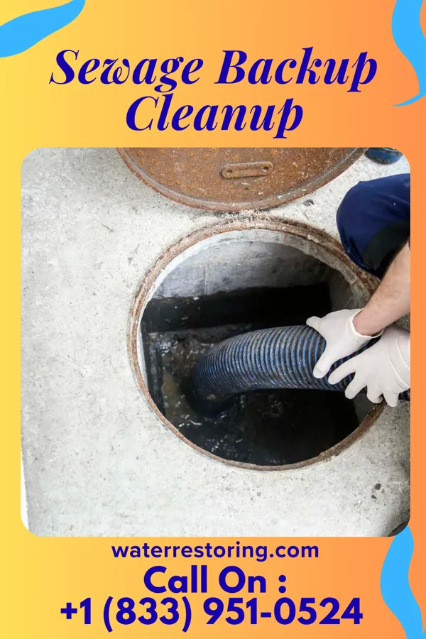 Sewage Backup Cleanup in Chaumont, NY