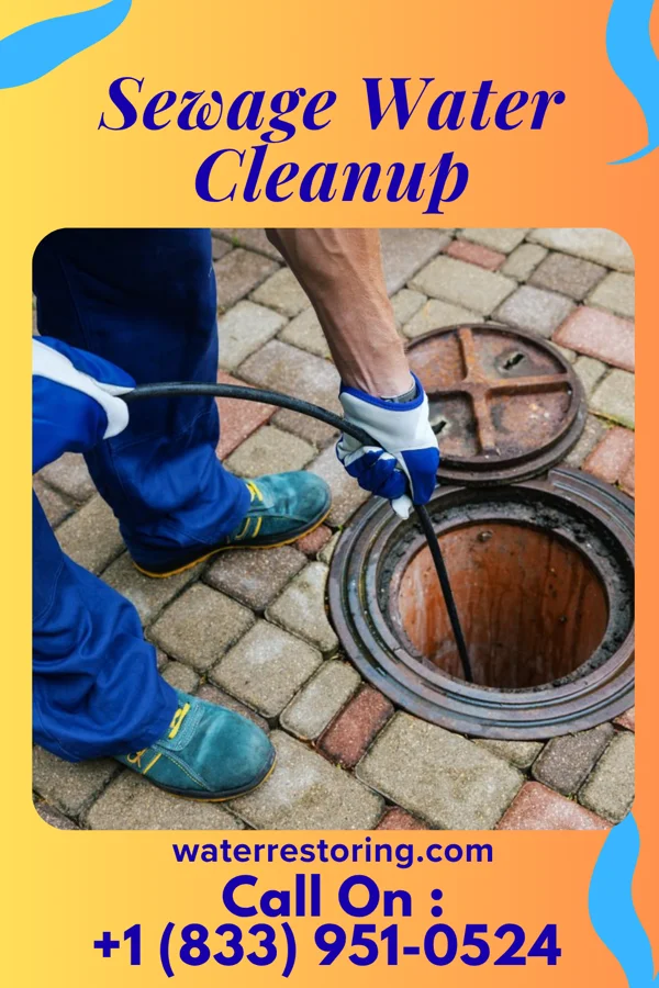 Sewage Water Cleanup in Chaumont, NY